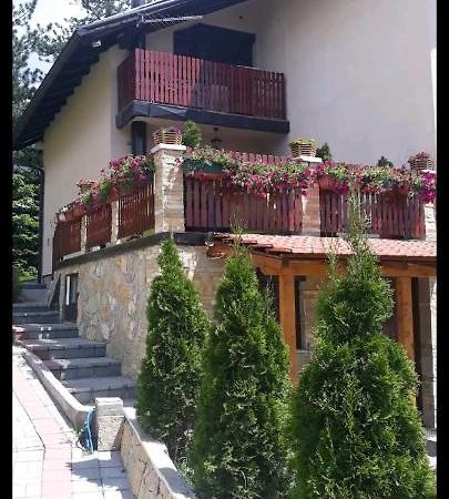 Apartment Niva Zlatibor Ngoại thất bức ảnh