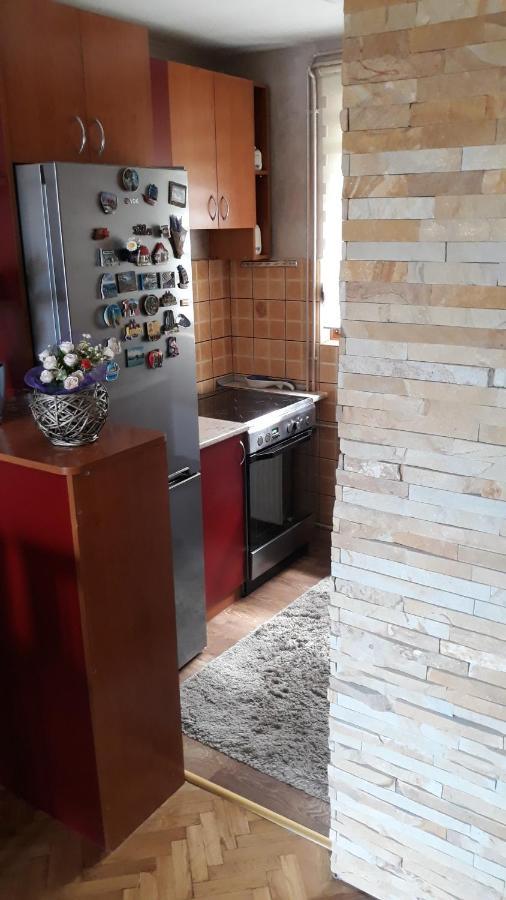 Apartment Niva Zlatibor Ngoại thất bức ảnh