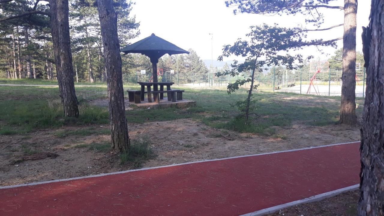Apartment Niva Zlatibor Ngoại thất bức ảnh