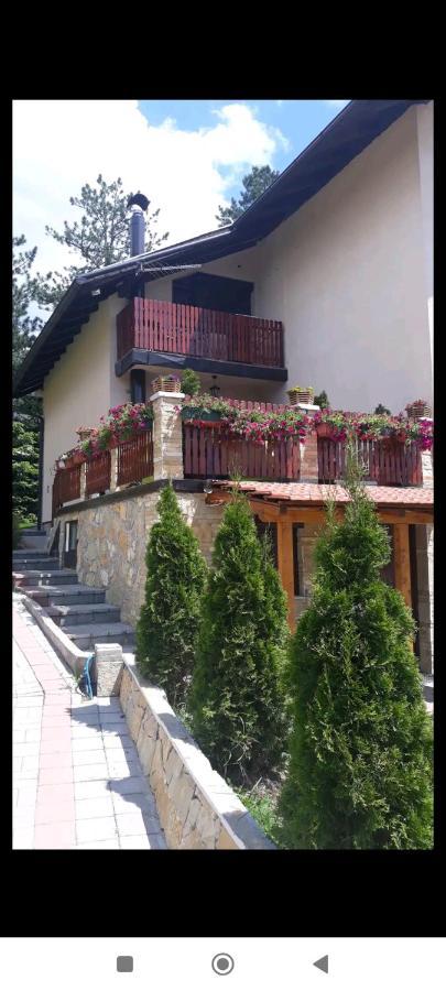 Apartment Niva Zlatibor Ngoại thất bức ảnh