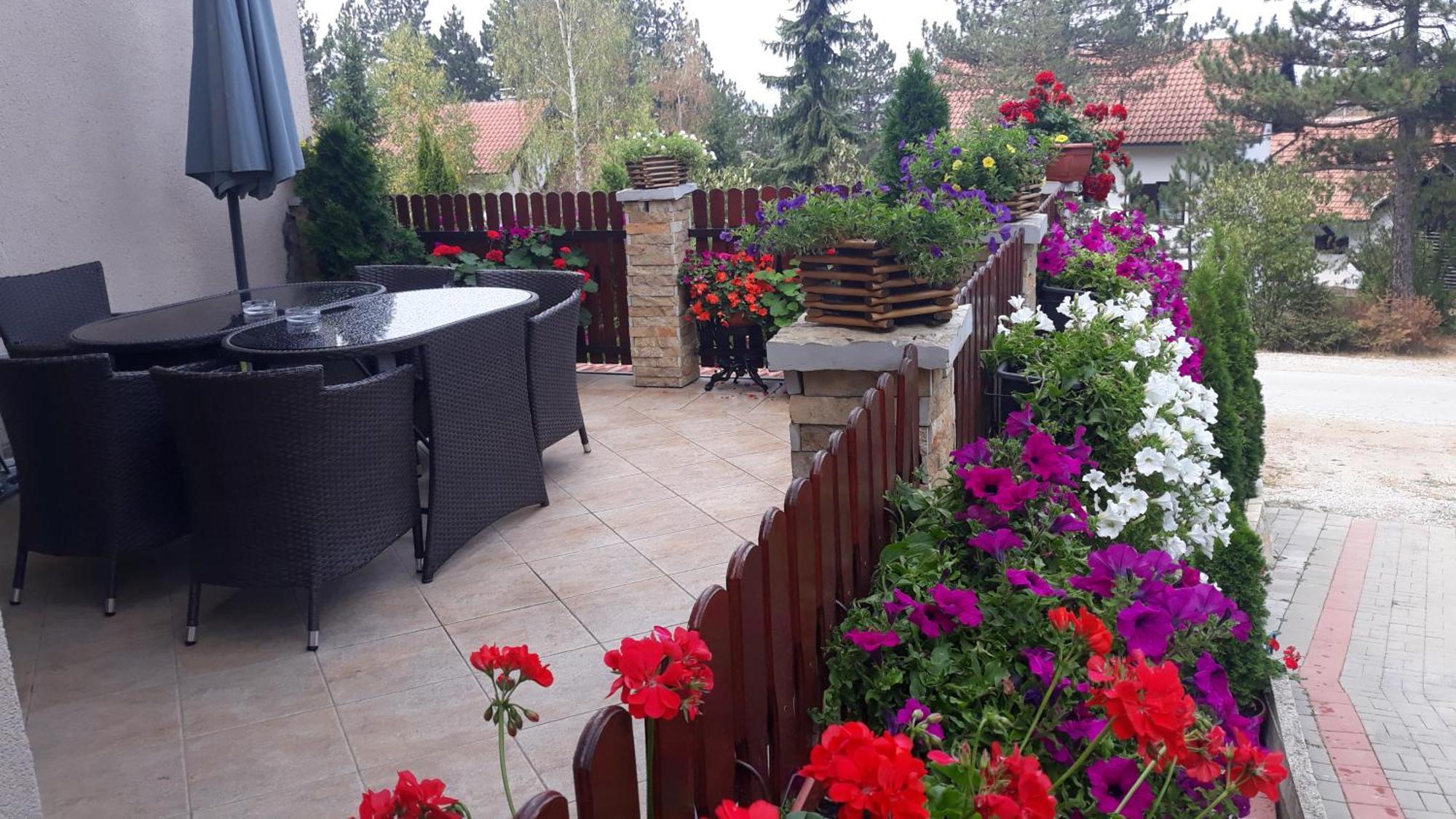 Apartment Niva Zlatibor Ngoại thất bức ảnh