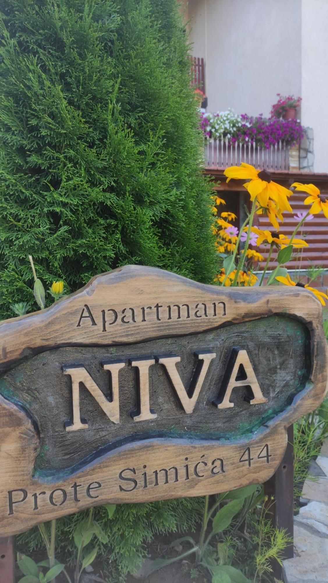 Apartment Niva Zlatibor Ngoại thất bức ảnh