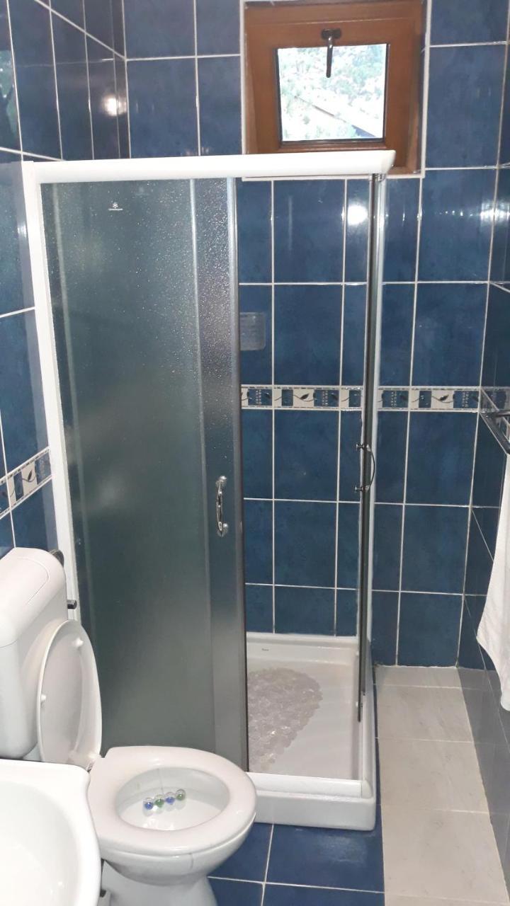 Apartment Niva Zlatibor Ngoại thất bức ảnh